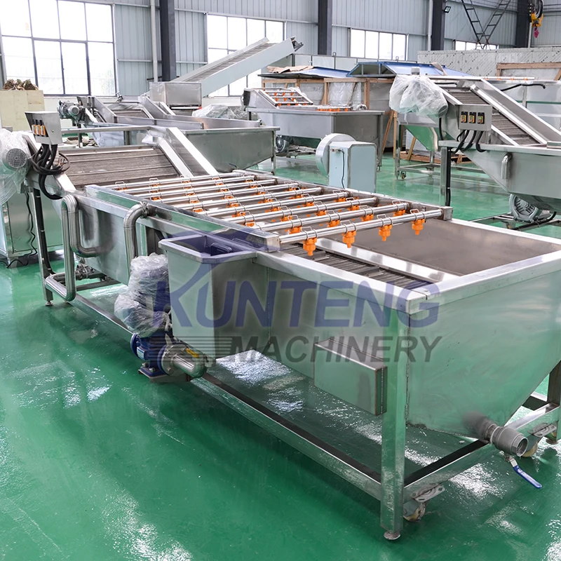 Fully Automatic Processing Line for Sea Cucumber Food Bombay Duck Anchovy Dried Fish Shrimp Drying and Packing Machine Dryer