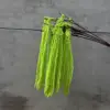 สีเขียว