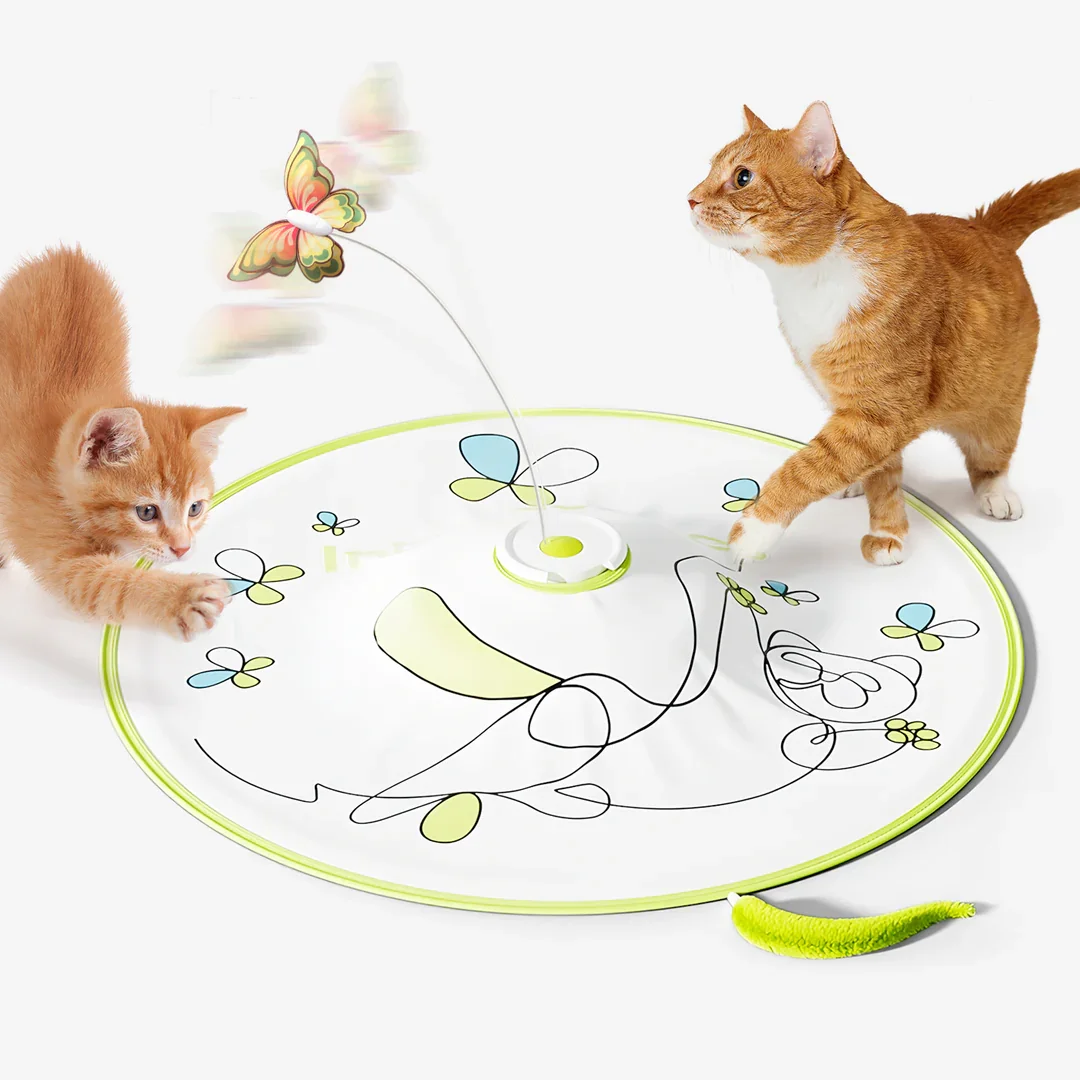 afp interactive flutter bug cat toy Busy Butterfly | Interactive Cat Toy