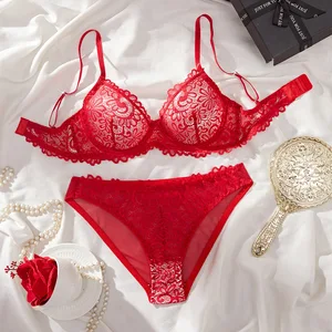 2026 New Arrival French Lace Print Bra Set-Combo Comfortable Breathable Lightweight Sexy Lingerie with Medium Control