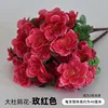 Rose-red 6-forked rhododendron
