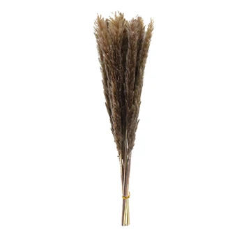 Wholesale Small Decorative Dried Flower Bouquet Customization supplier cheap Home Wedding Decor Natural Reed 5 branches bundle