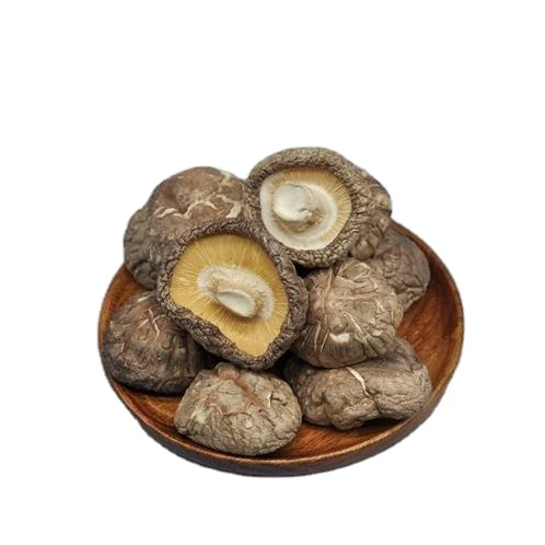Wholesale Price of Dried shiitake Mushroom Whole dried organic