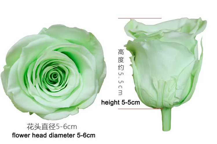 Black Roses Preserved Advanced Technology Preserved Rose Arrangement Rose Preserve Flower Grade a