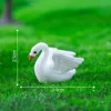 3#Cigno
