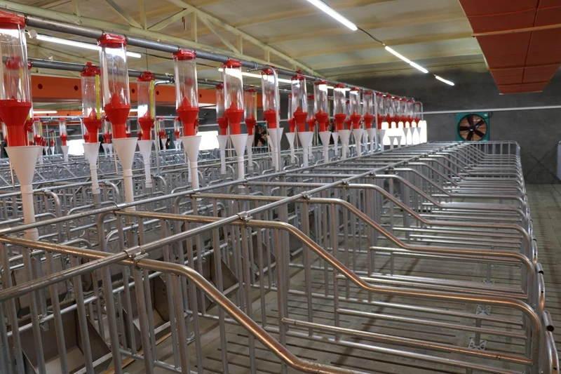 New design hot dip galvanized surface pig gestation crate for sows