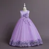 Viola