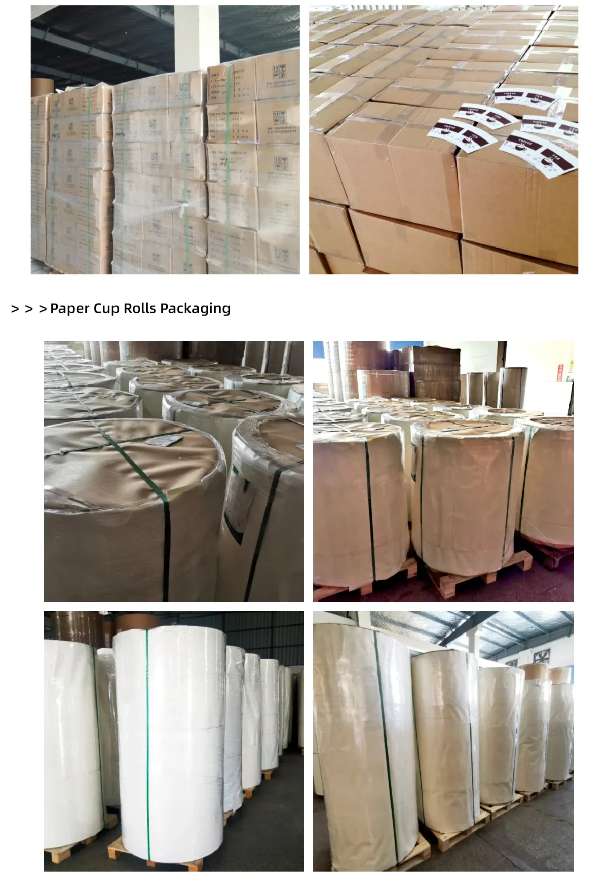 150gsm 160gsm 170gsm 190gsm 210gsm White PE Coated Paper Cup Roll Paper ...