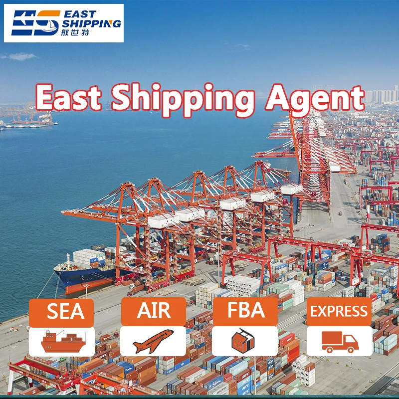 Freight Forwarder China To Bolivia Logistics Agent DDP Door To Door Shipping Agent Bolivia