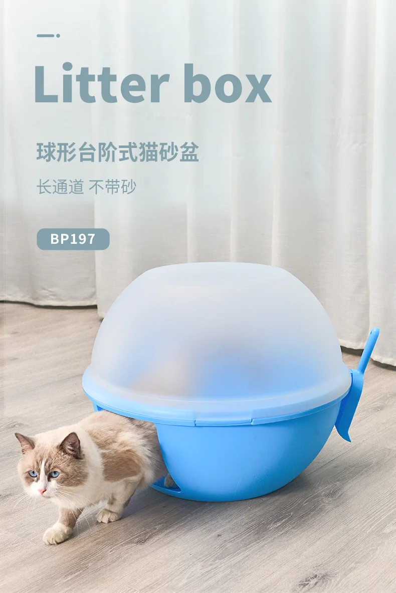 cat igloo plastic