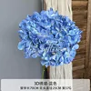 Endless Summer Hydrangea - Blue
