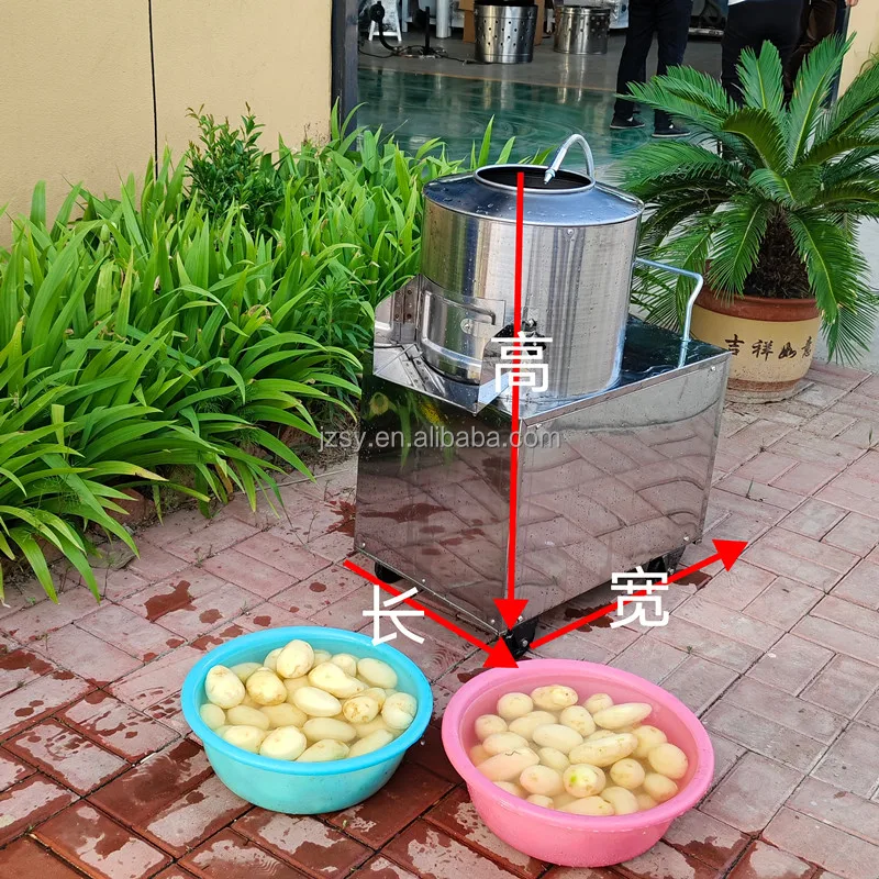 JZSY 200kg/h Small Commercial Automatic Potato Peeling Machine - Image 5