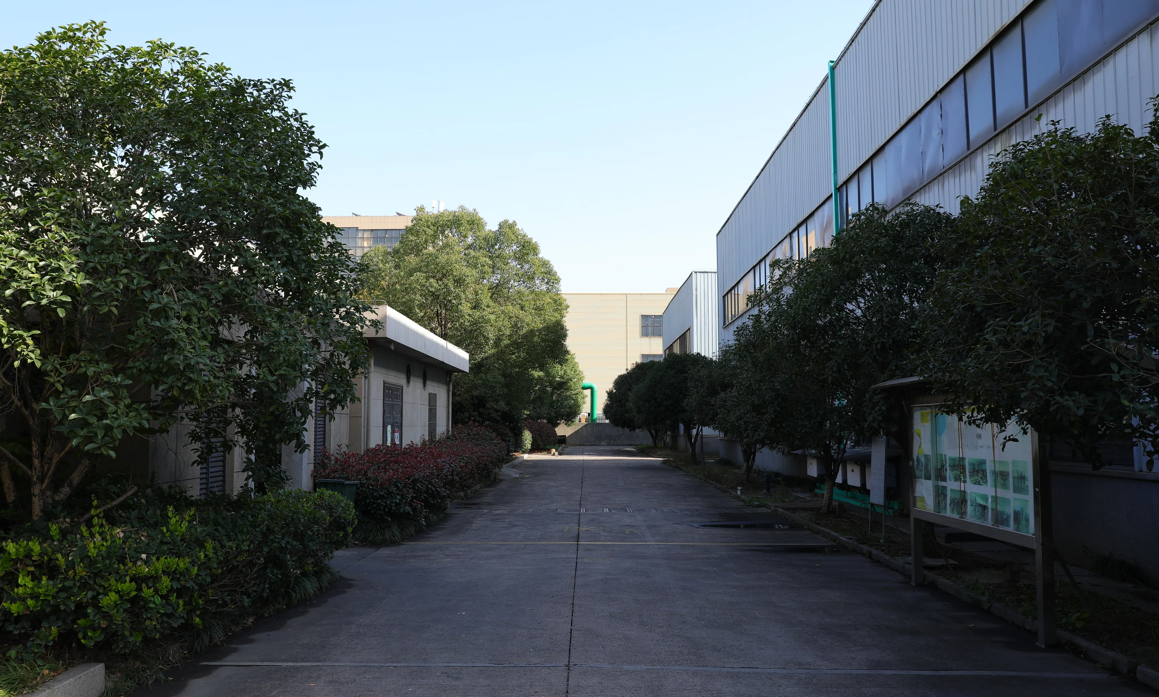 Premium Adhesive Holographic Window Film for Stickers and Security Labels factory