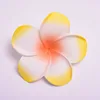 Yellow+Pink