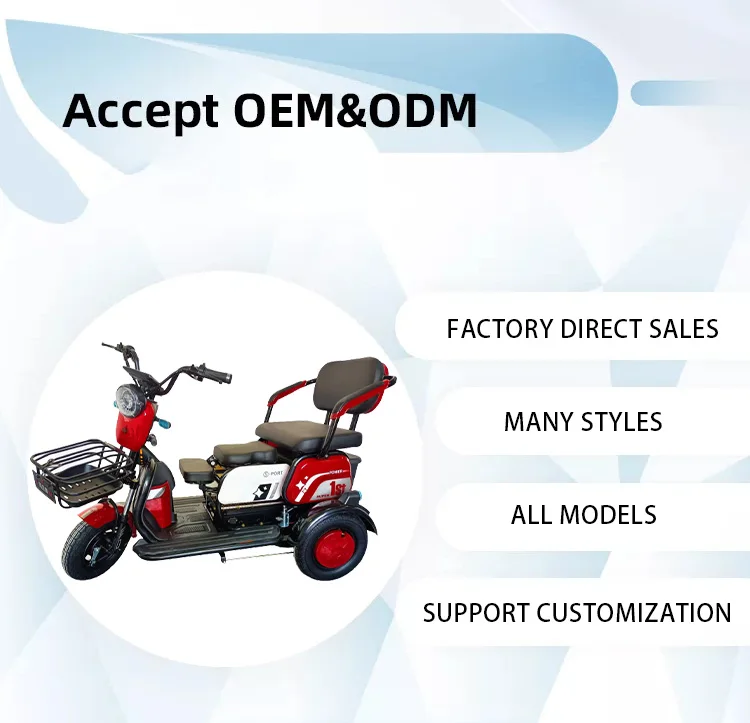 Adult Electric Tricycles 3 Wheel Electrical Mobility E Scooter