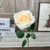 My-Single Big Rose-Champagne