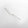 Cake spatula