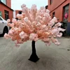 Rosa 04