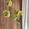 Green7
