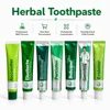 Menthe