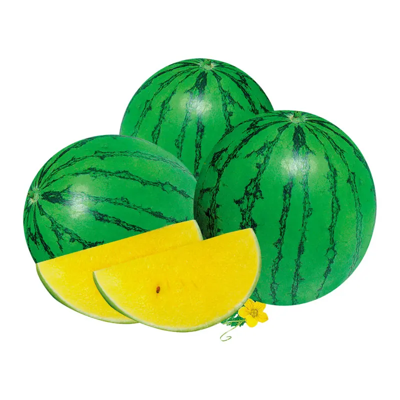 chinese fruit mini yellow heart watermelon seeds for family planting