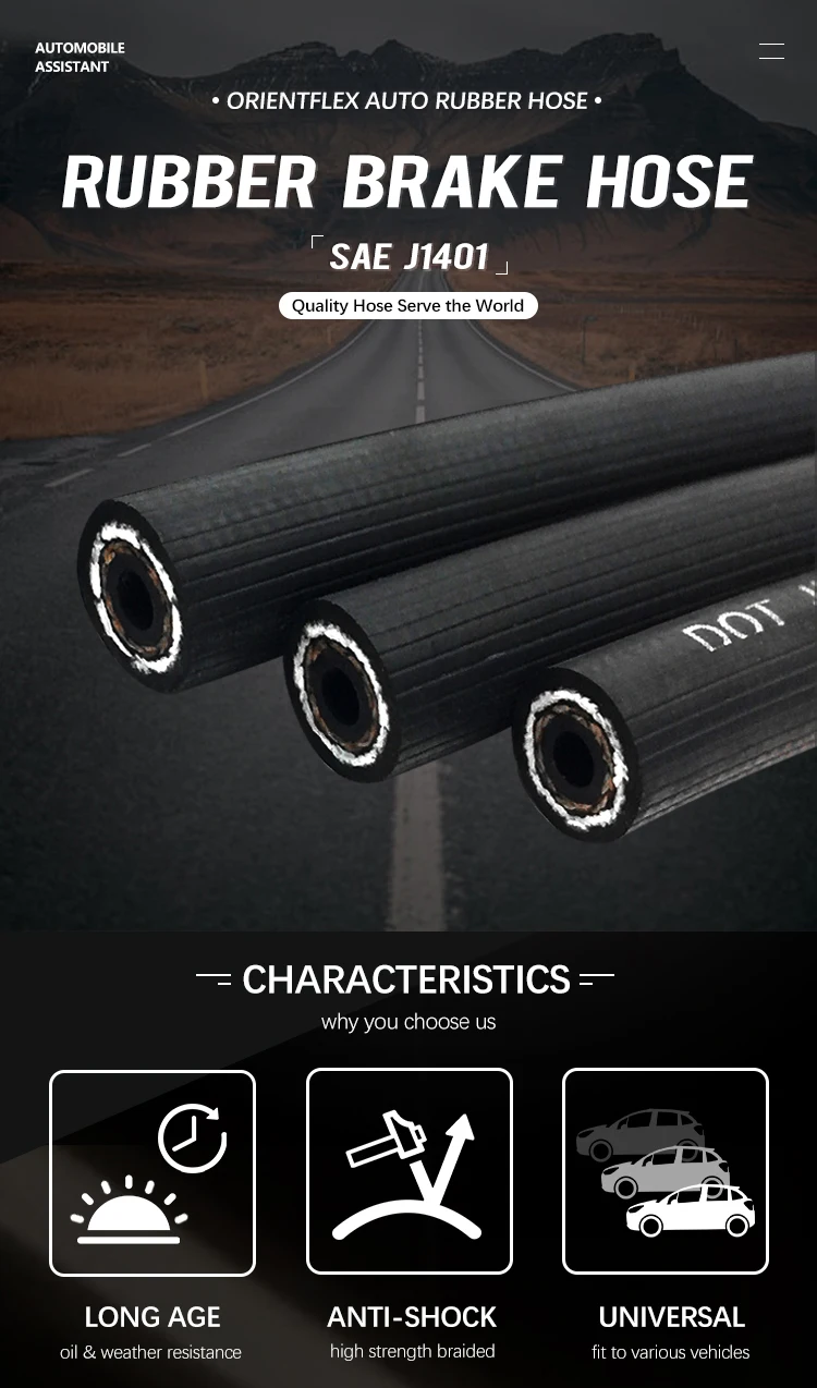 Universal Blue Sae J1401 Standard Car Motorcycle Trailer Hydraulic Rubber Auto Brake Hose Hoses