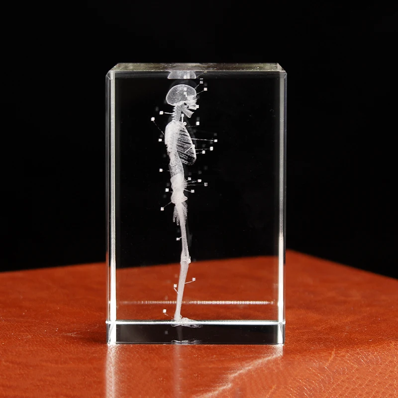 3Dクリスタルガラス人体骨格立体レーザー彫刻キューブ文鎮