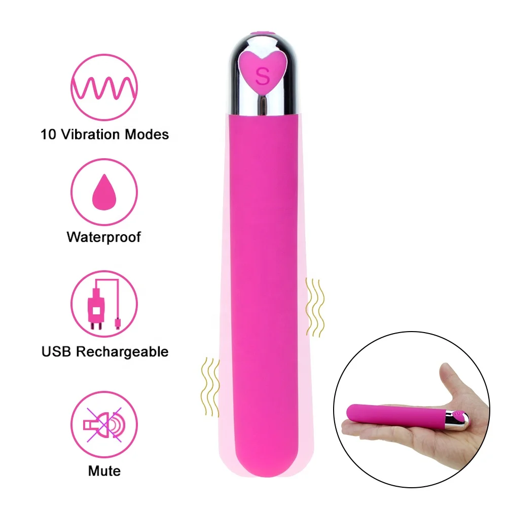 bullet vibrator sex toy 9 Best Dog Training Collars for Quick & Effective Results main image 1