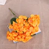 Orange1