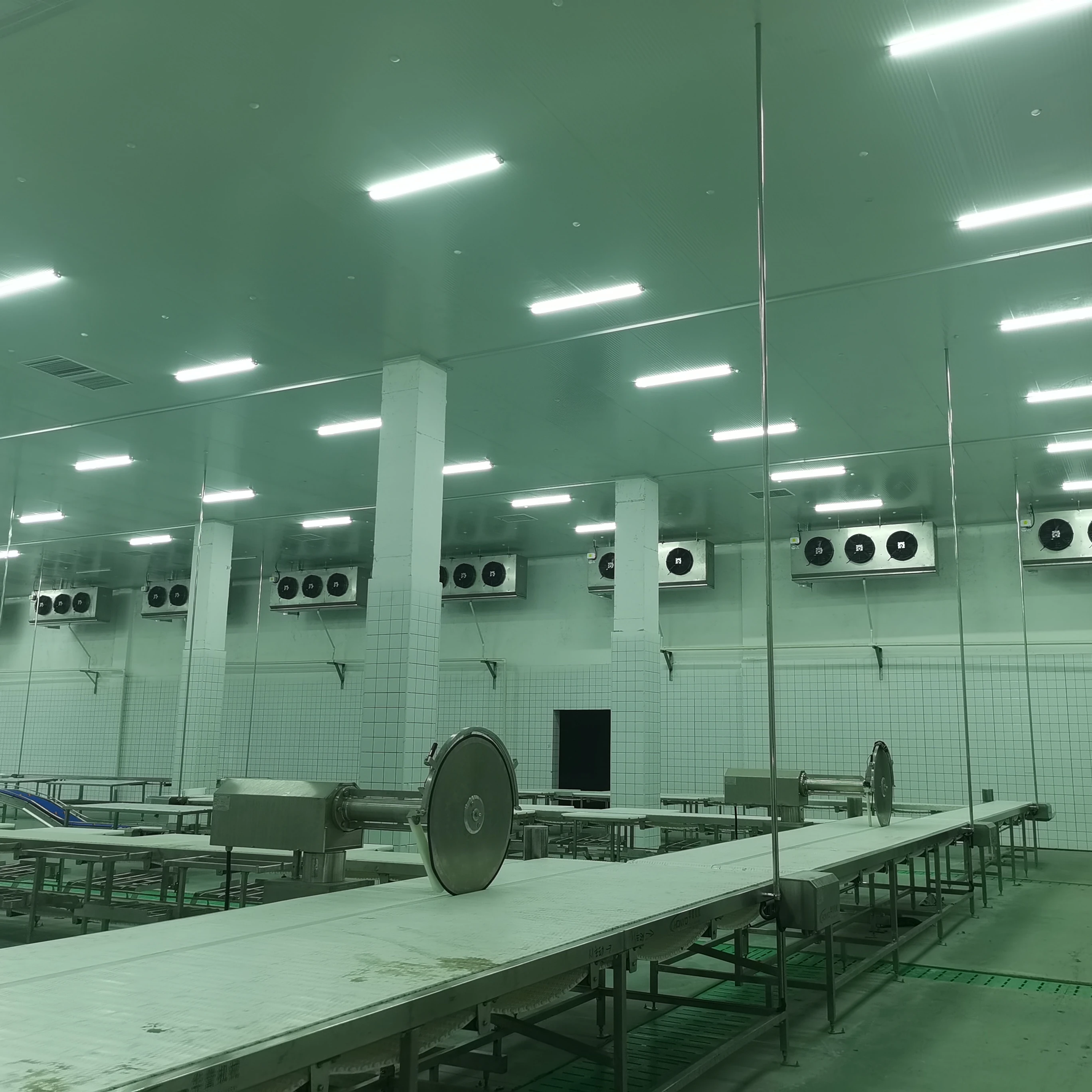 Meat slaughterhouse equipment PVC conveyor belts for cutting and packaging lines