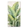 Green:MC163745B