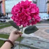 Single head korean hydrangea rose red