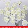 กุหลาบปั๊มนูน 3 หัว สีขาว/ชิ้น