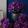 Morado oscuro