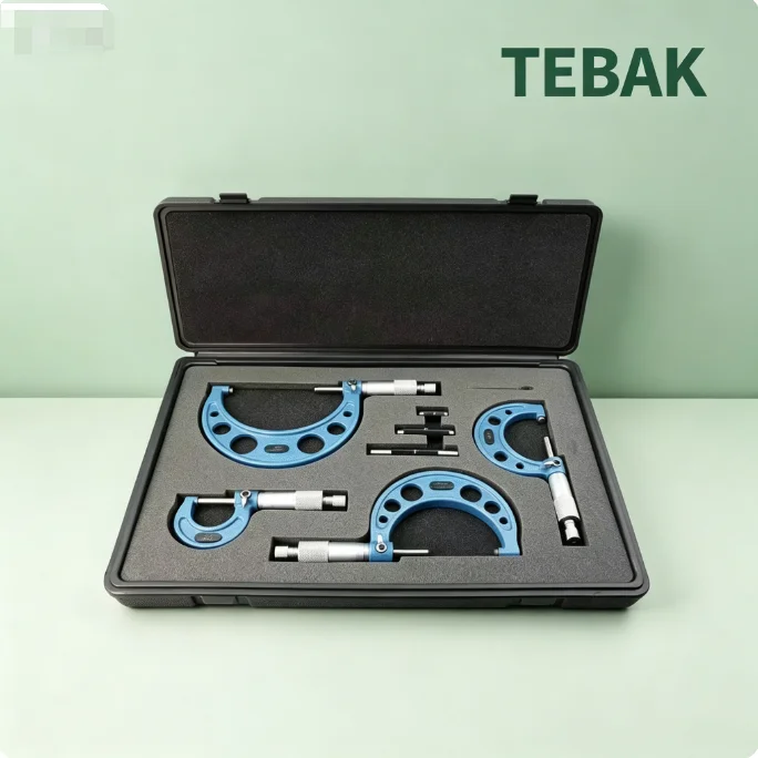 TEBAK 0-100mm External Spiral Outside Micrometer Kit High Precision Diameter Measuring Micrometer Set 3/4/6PCS
