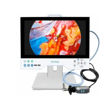 15.6 Inch All in One Full HD Endoscope Display System USB Recorder Laparoscopic Camera System with Light Source