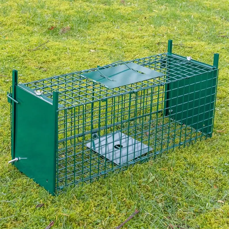 Big Metal Pest Control Wire Mesh Cage Trap Porcupine Coyote Groundhog Armadillo Wolf Fox Trap for Trapping Wild Animals Dog Cat