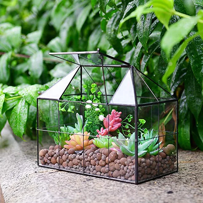 Wholesale Large Glass Plant Terrarium Kit for Succulents - Elegant Home &  Garden Dcor, Ideal for Various Indoor Spaces