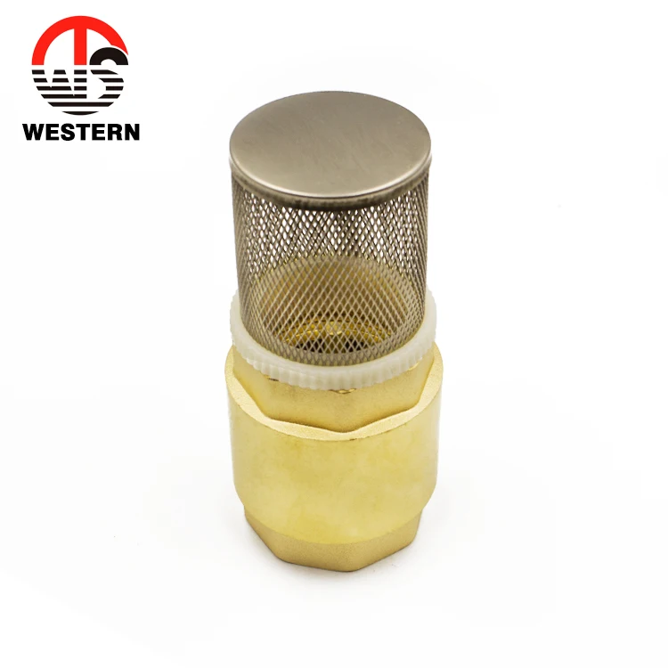 4 Inch China Check Valve Spring Vertical One Way Brass Foot Valve Foot Valve Price for Water Pump