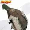 Silver Mallard