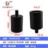 TF10090 - Versión extendida de 14 machos a 58 hembras