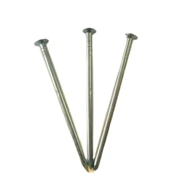 热浸镀锌平头普通钉子铁大电镀锌尖铁钉铁丝钢钉