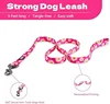 Leash