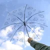 Umbrella Transparent 2