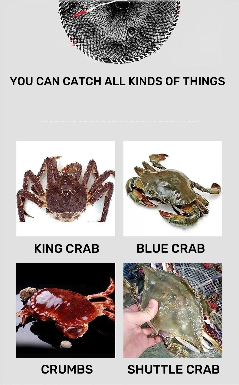 Rectangular Folding Hdpe Crab Trap/lobster/fish Cage Multifilament ...