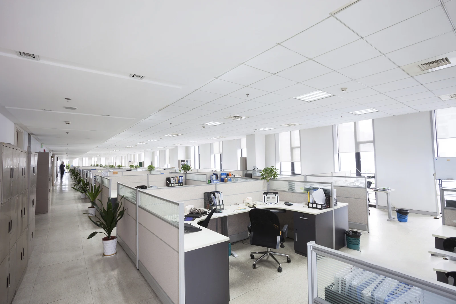 Anhui Everecosip Packaging Co., Ltd