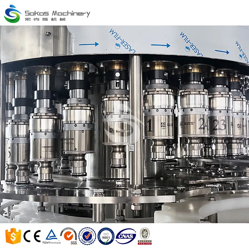Fully Automatic Complete 2000BPH PET Bottled Drinking Mineral Water Filling Line
