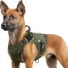 camuflaje verde