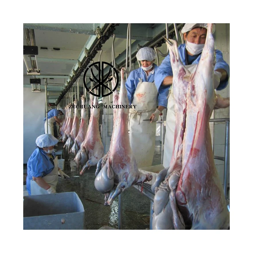 International Halal Sheep Abattoir Equipment Automatic Anatomy Slaughtering Line For Goat Processing Machinery