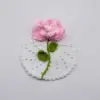 Gradient Pink Carnation-White Coaster